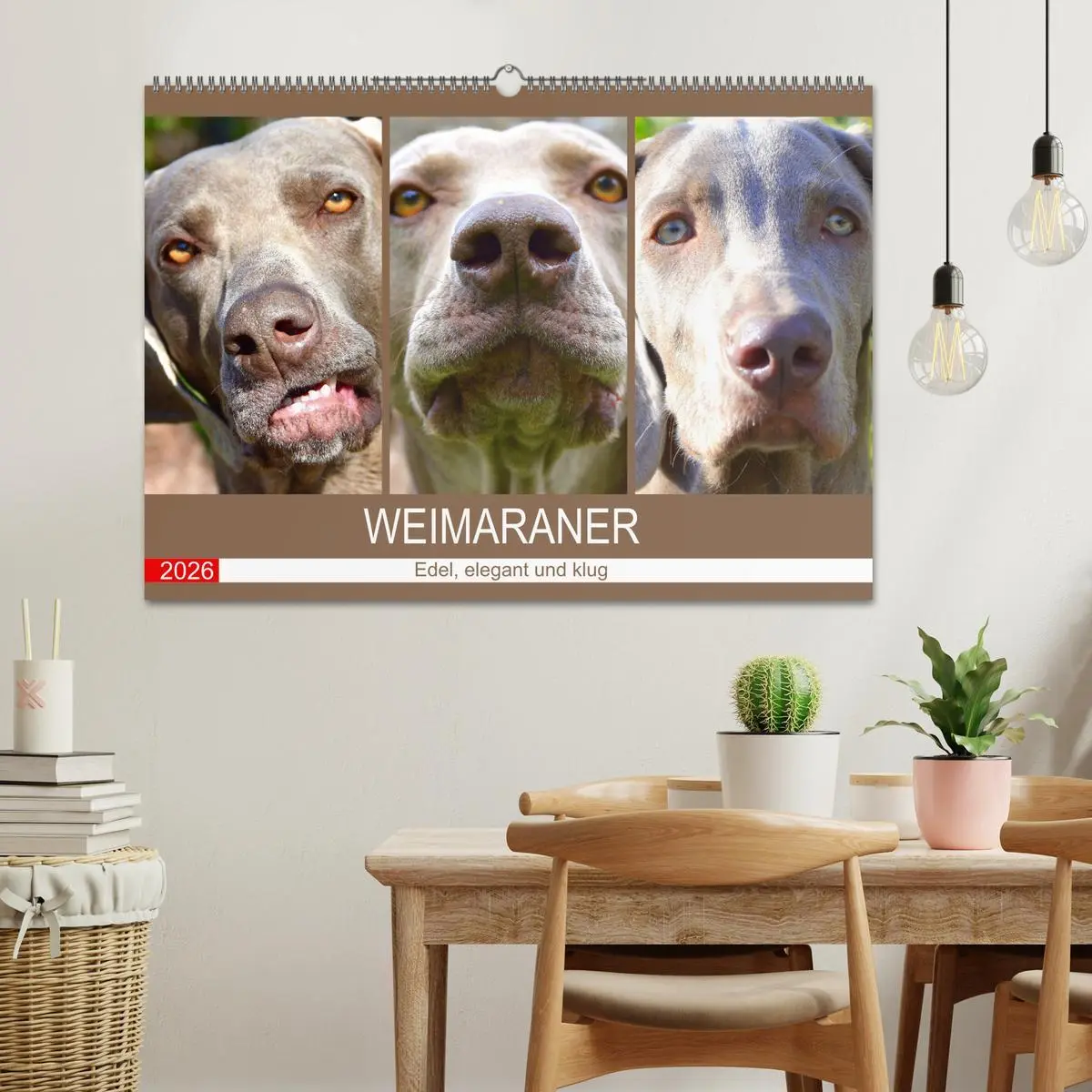 Bild: 9783457633168 | Weimaraner. Edel, elegant und klug (Wandkalender 2026 DIN A2 quer),...