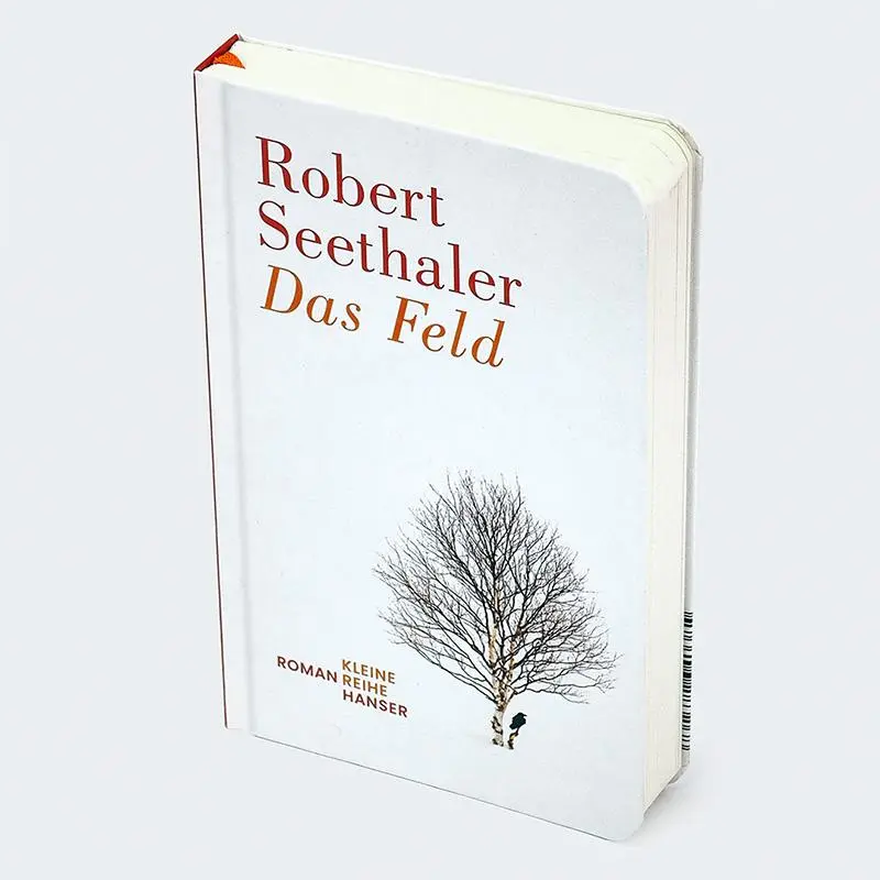 Bild: 9783446283268 | Das Feld | Robert Seethaler | Buch | 272 S. | Deutsch | 2025