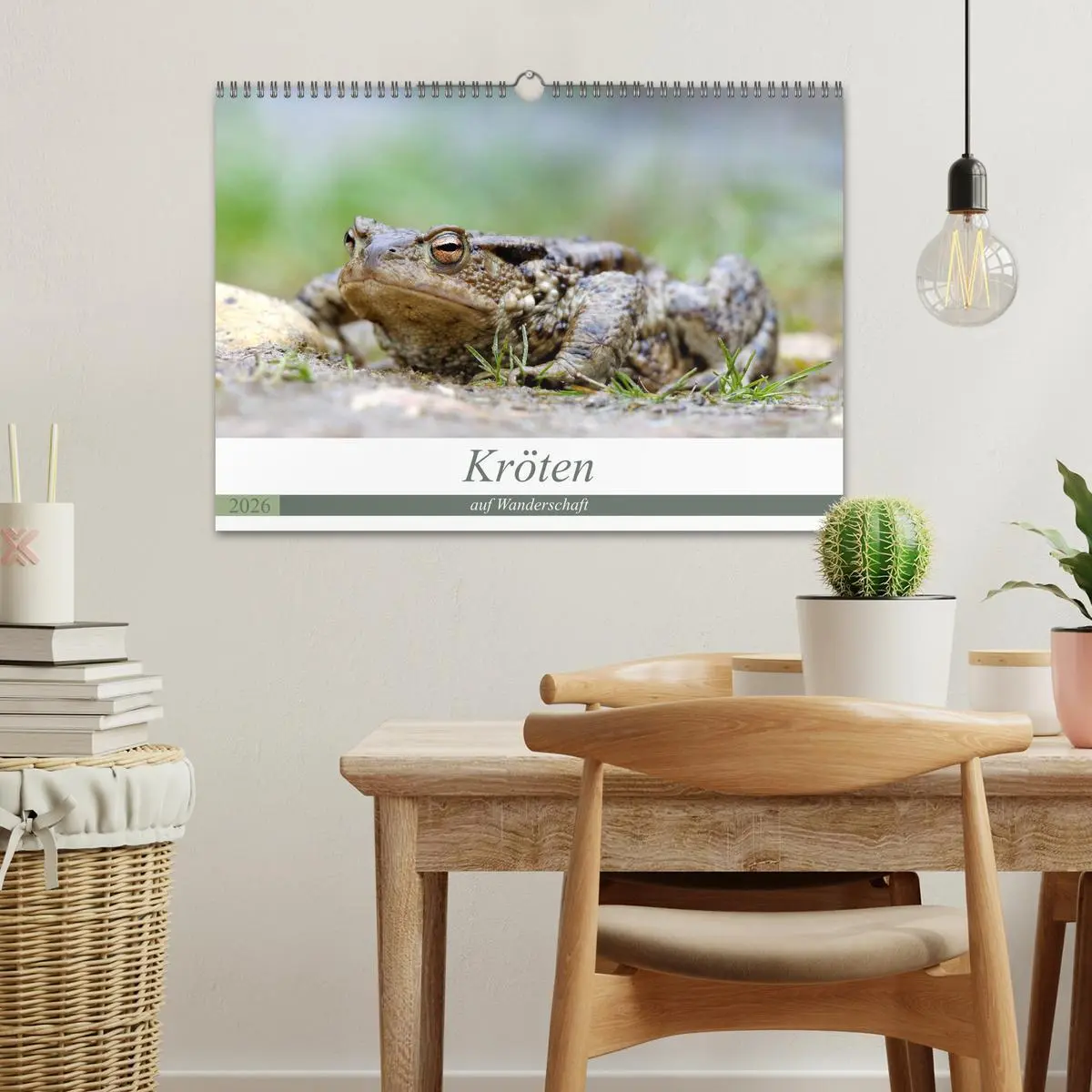 Bild: 9783457863268 | Kröten auf Wanderschaft (Wandkalender 2026 DIN A3 quer), CALVENDO...