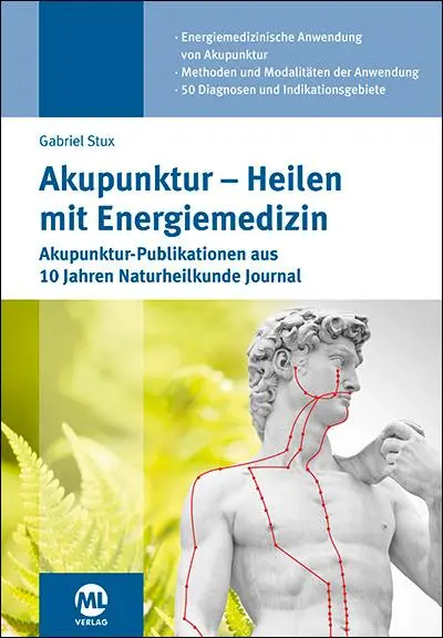 Cover: 9783964743268 | Akupunktur - Heilen mit Energiemedizin | Gabriel Stux | Buch | 360 S.
