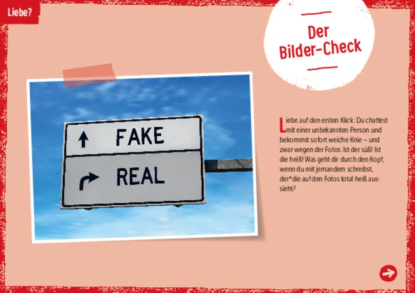 Bild: 4260694923368 | Sexualität, Liebe, Identität | Stephan Sigg | Bundle | 1 Box | Deutsch
