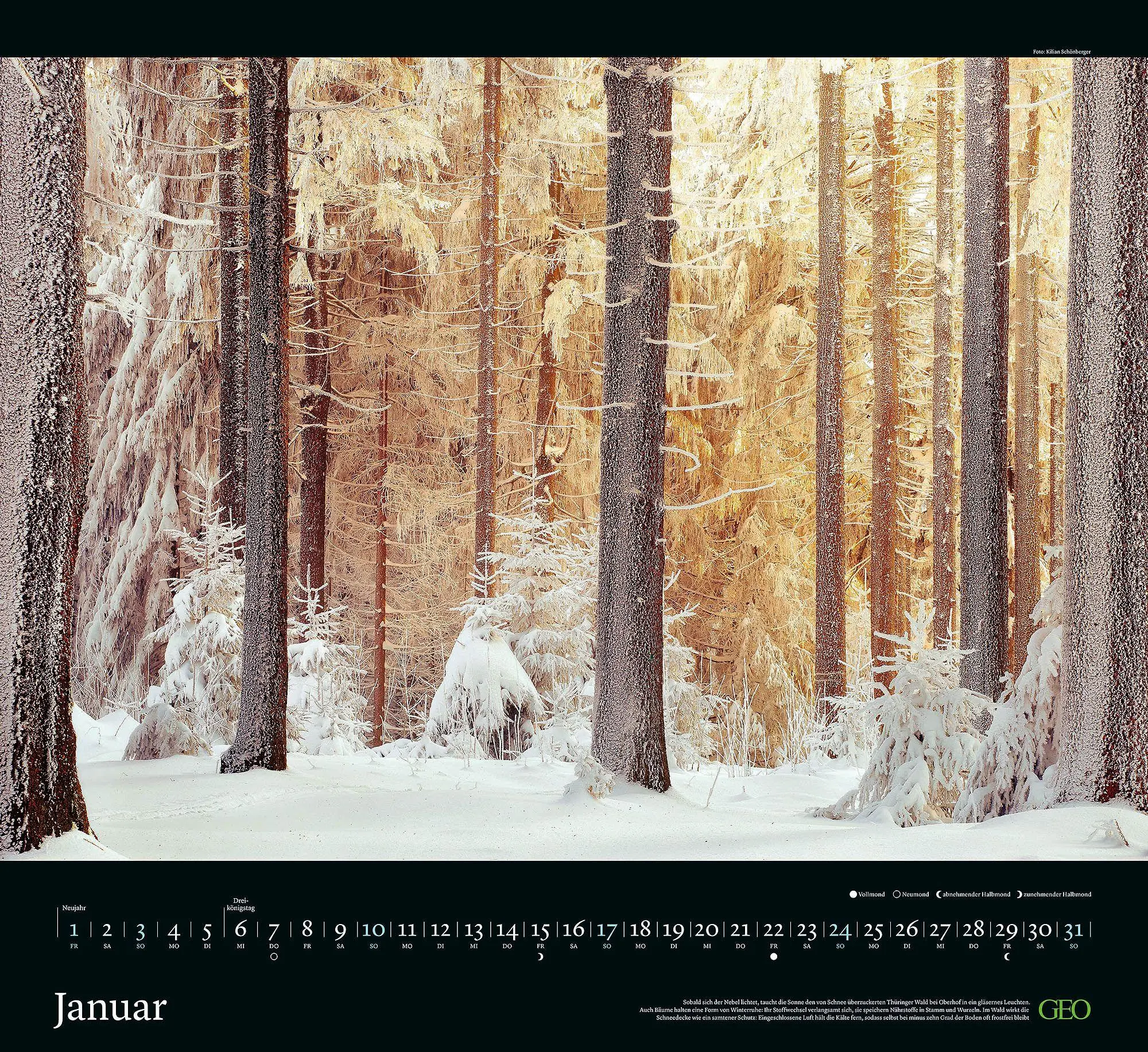 Bild: 4069095013568 | GEO Kalender: Sehnsucht Wald 2027 | Neumann Verlage GmbH &amp; Co KG