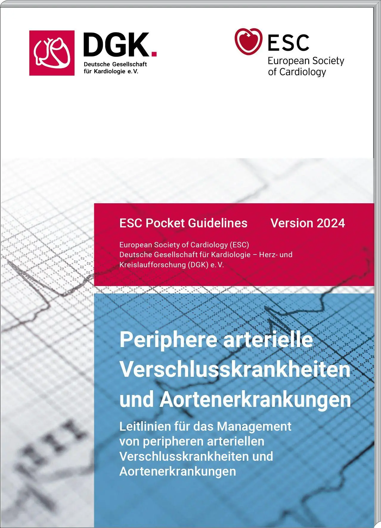 Cover: 9783898623568 | Periphere arterielle Verschlusskrankheiten und Aortenerkrankungen