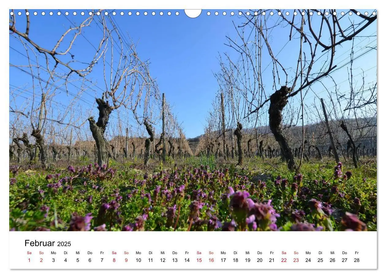 Bild: 9783435593668 | Impressionen vom Kaiserstuhl (Wandkalender 2025 DIN A3 quer),...