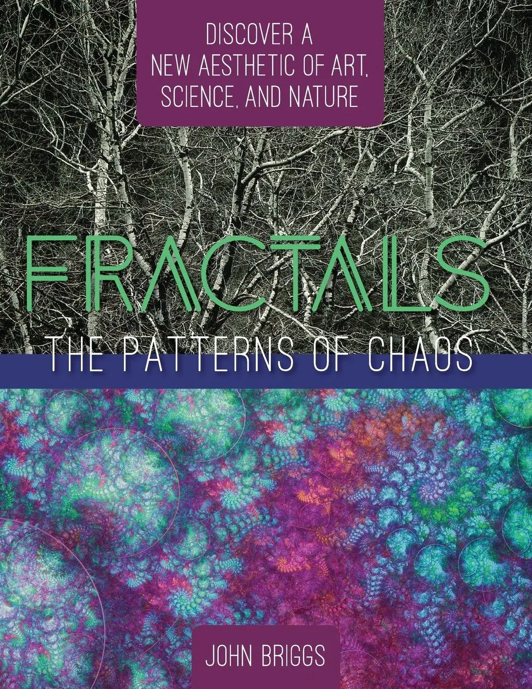 Cover: 9781626543768 | Fractals | John Briggs | Taschenbuch | Kartoniert / Broschiert | 2015