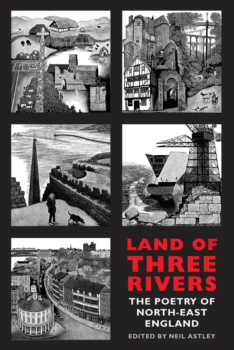 Cover: 9781780373768 | Land of Three Rivers | The Poetry of North-East England | Neil Astley