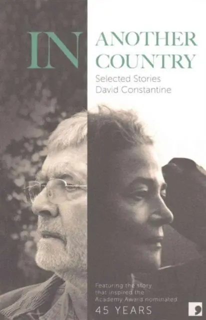 Cover: 9781905583768 | In Another Country | Selected Stories | David Constantine | Buch