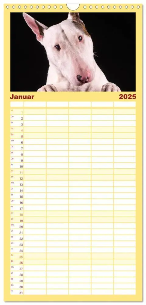 Bild: 9783457123768 | Familienplaner 2025 - Bullterrier mit 5 Spalten (Wandkalender, 21 x...