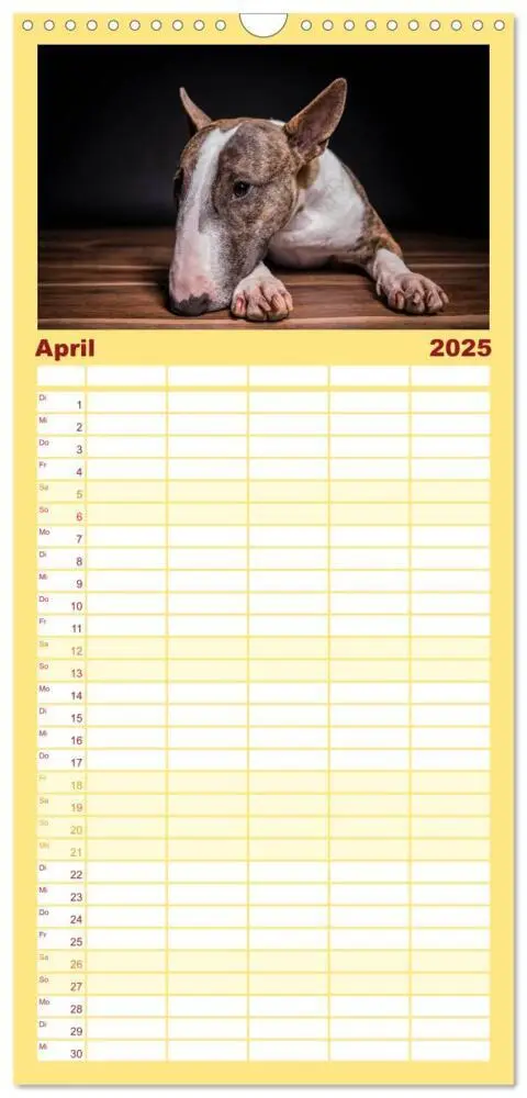 Bild: 9783457123768 | Familienplaner 2025 - Bullterrier mit 5 Spalten (Wandkalender, 21 x...