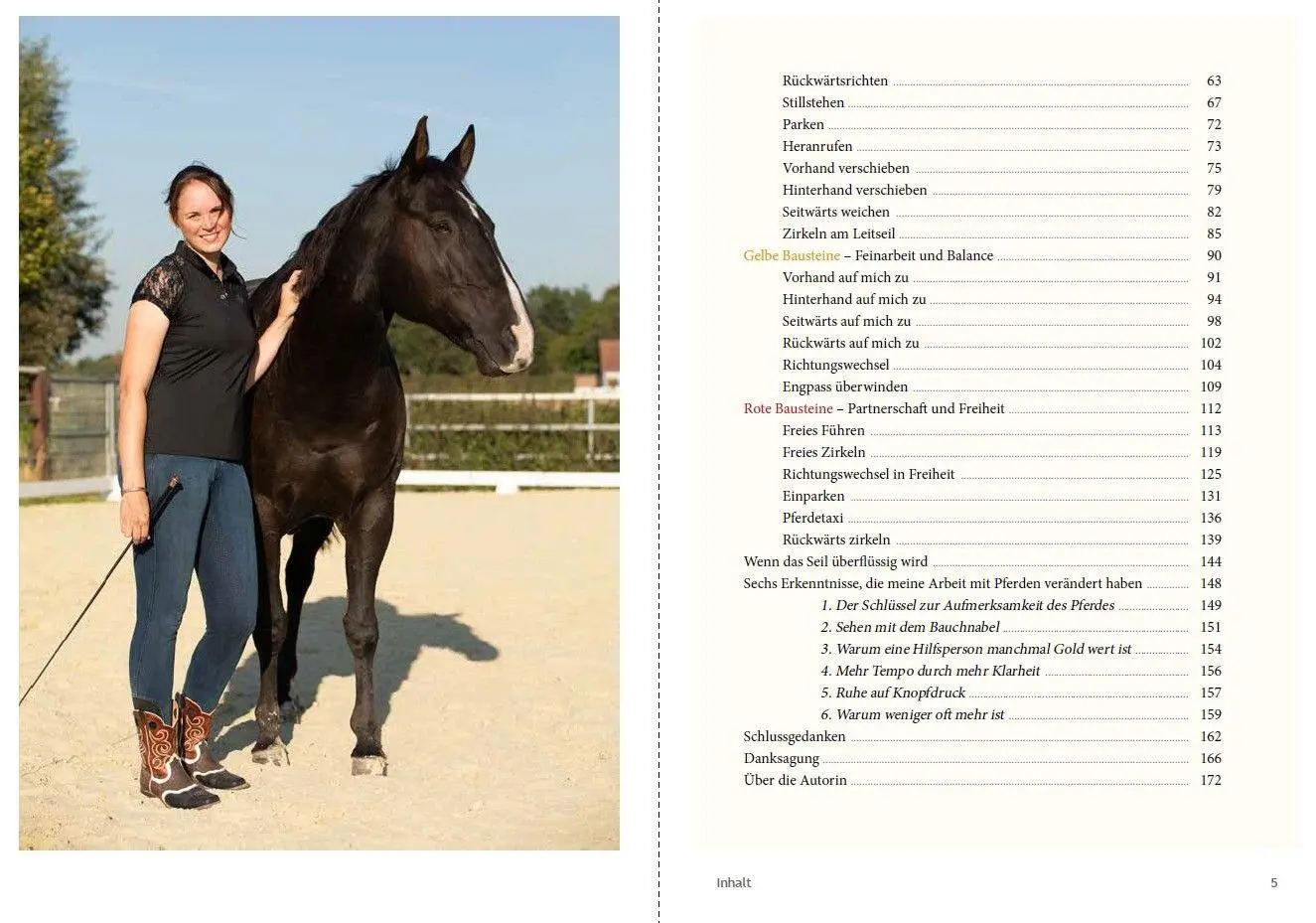 Bild: 9783275023868 | Bodenarbeit im Baukastensystem | Jenny Drees | Taschenbuch | 192 S.