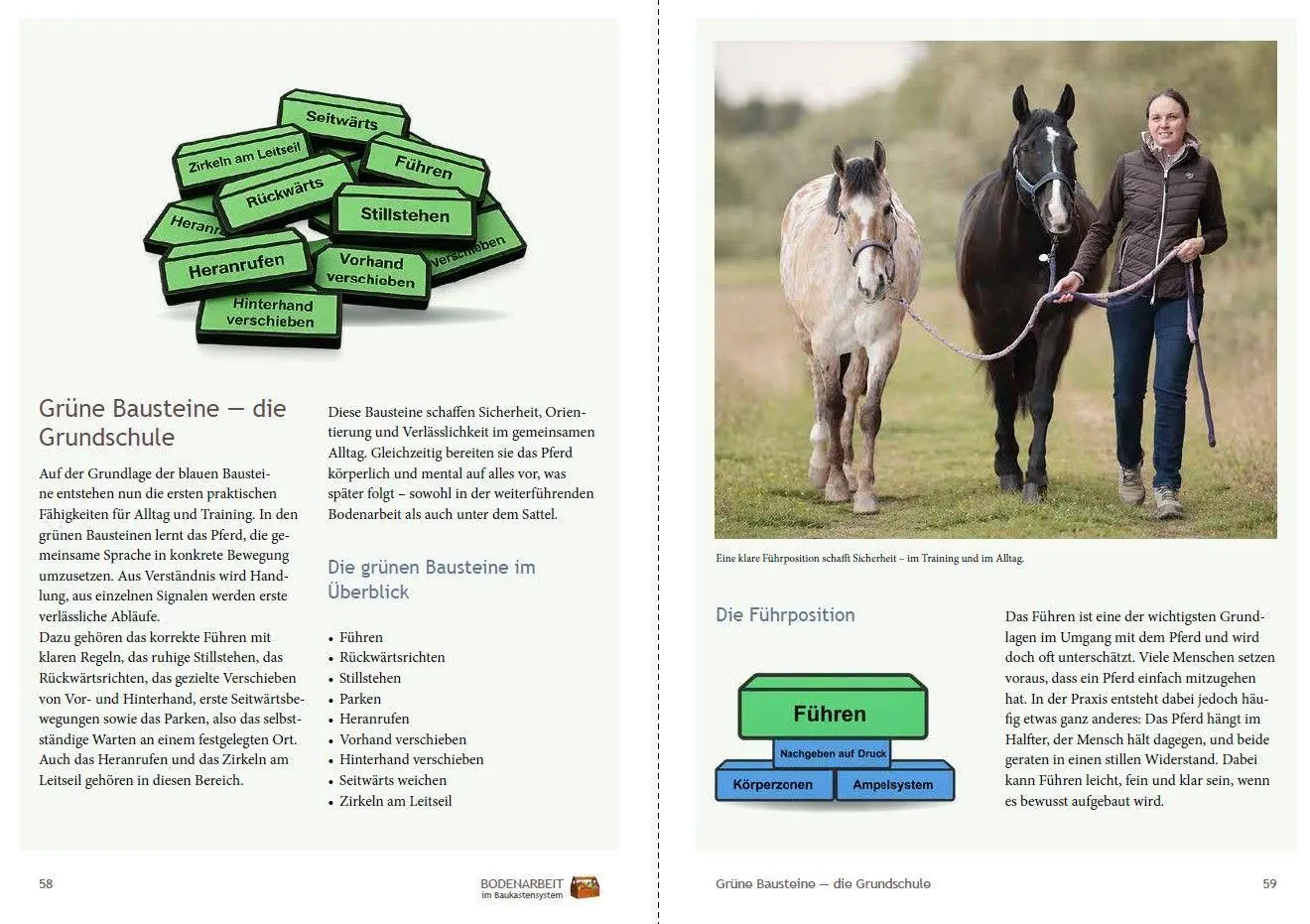 Bild: 9783275023868 | Bodenarbeit im Baukastensystem | Jenny Drees | Taschenbuch | 192 S.