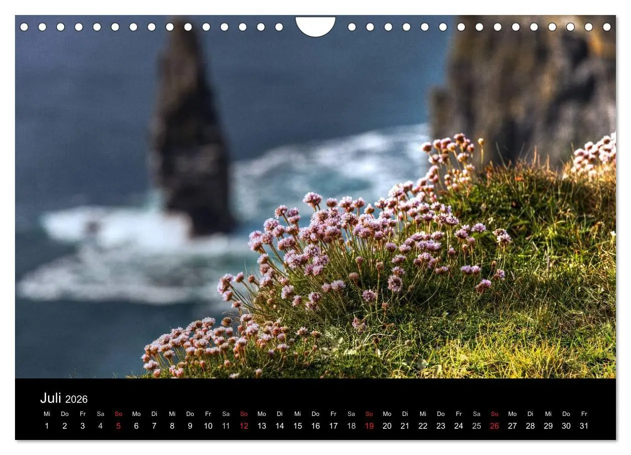 Bild: 9783516203868 | Irlands Westküste (Wandkalender 2026 DIN A4 quer), CALVENDO...
