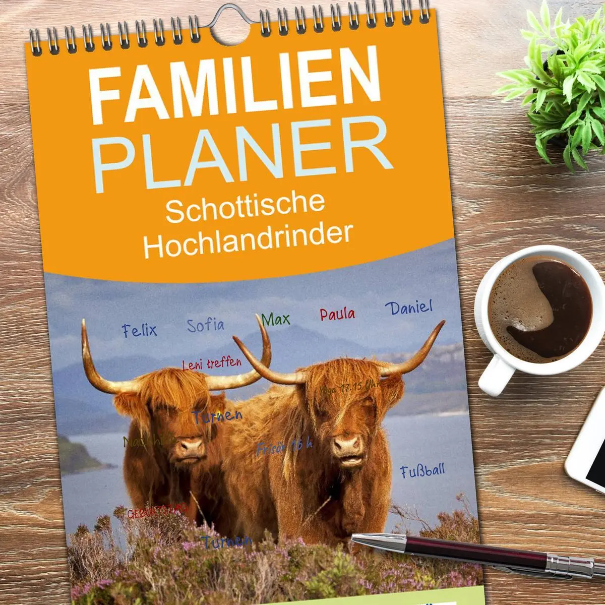 Bild: 9783516513868 | Familienplaner 2026 - Schottische Hochlandrinder. Freundlich, schön...