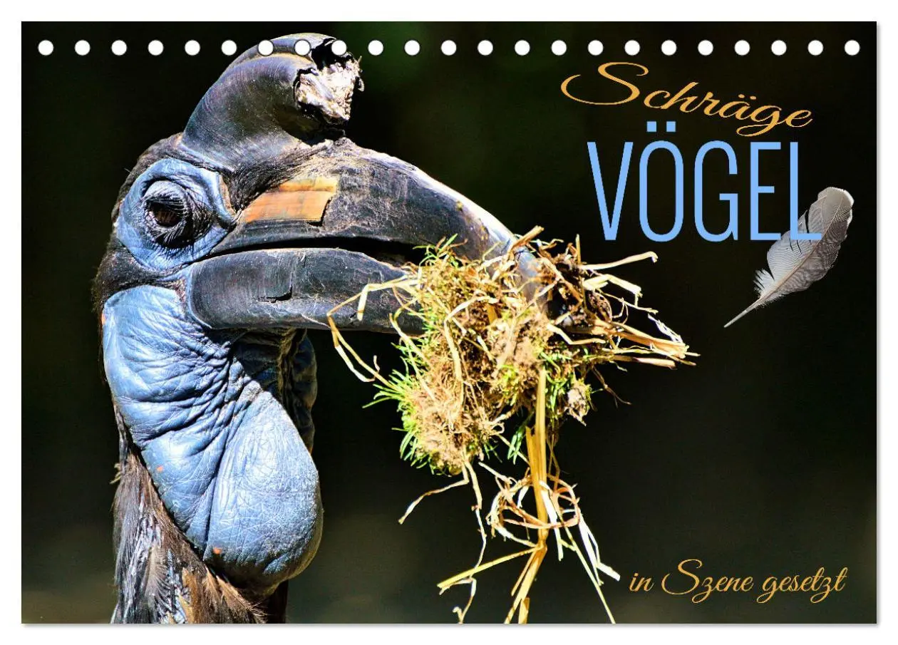 Cover: 9783457413968 | Schräge Vögel in Szene gesetzt (Tischkalender 2026 DIN A5 quer),...