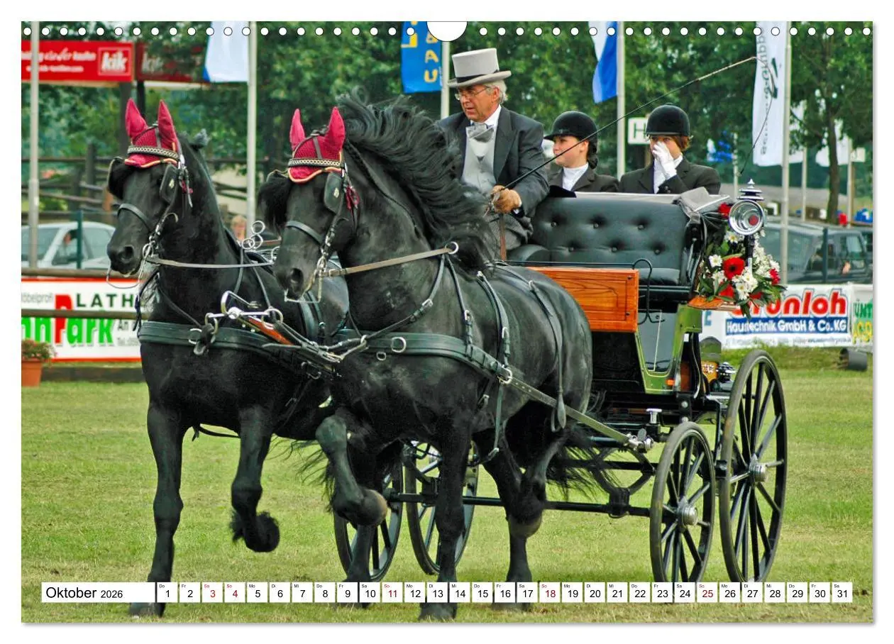 Bild: 9783457583968 | Faszination Fahrsport - Zweispänner im Galopp durch den Parcour...