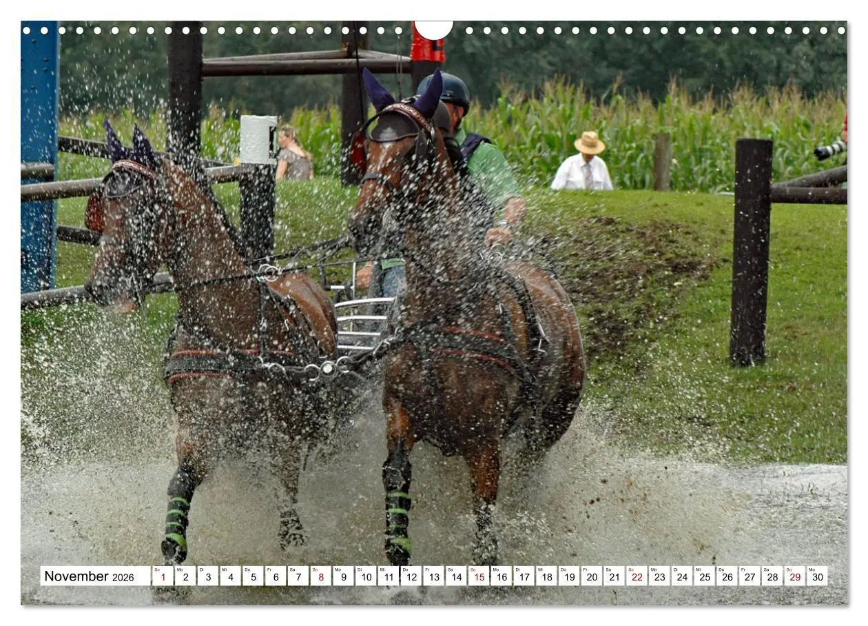 Bild: 9783457583968 | Faszination Fahrsport - Zweispänner im Galopp durch den Parcour...
