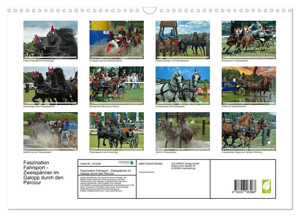 Bild: 9783457583968 | Faszination Fahrsport - Zweispänner im Galopp durch den Parcour...