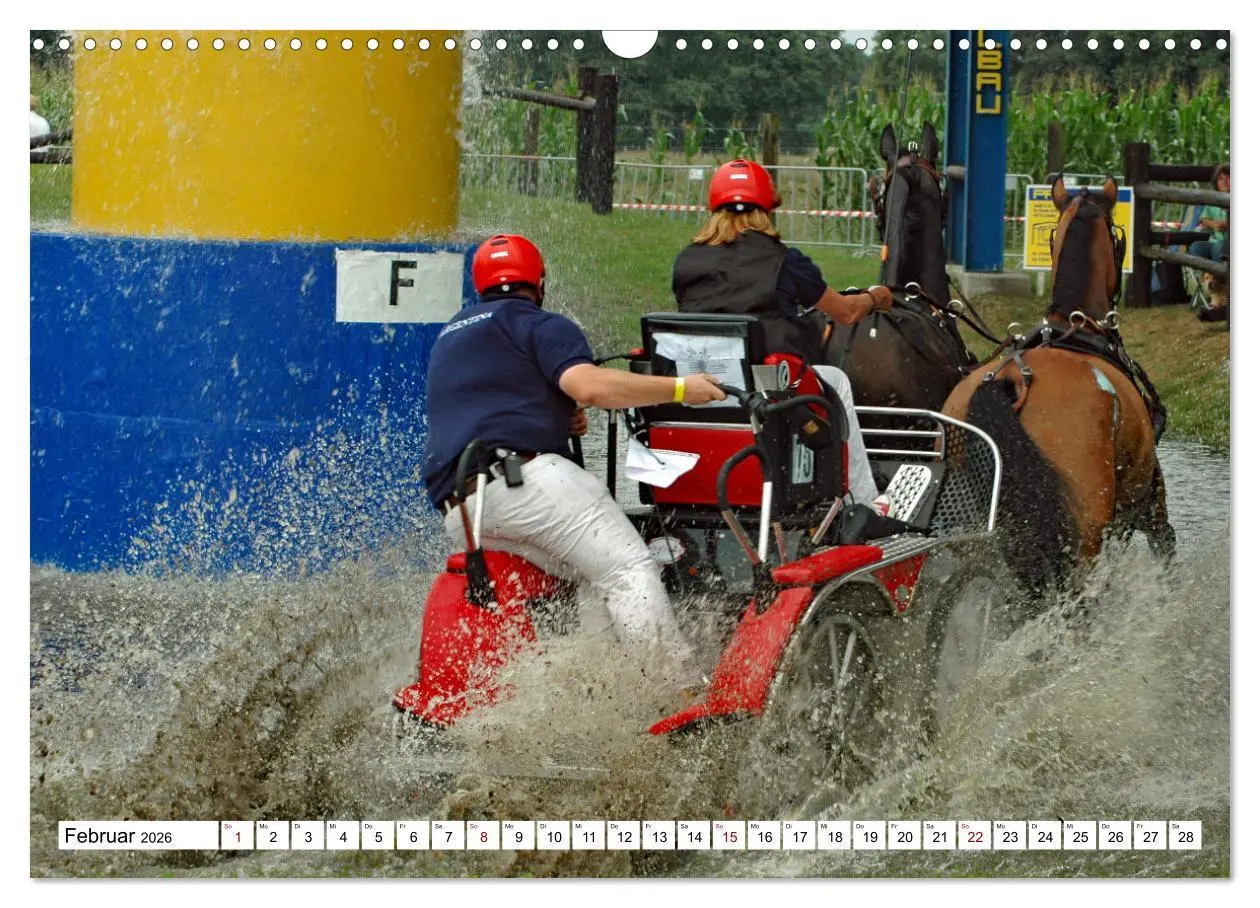 Bild: 9783457583968 | Faszination Fahrsport - Zweispänner im Galopp durch den Parcour...