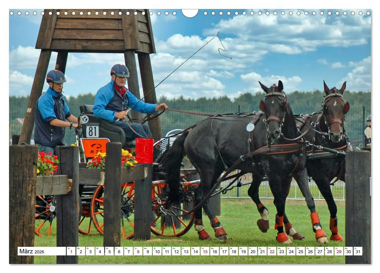 Bild: 9783457583968 | Faszination Fahrsport - Zweispänner im Galopp durch den Parcour...
