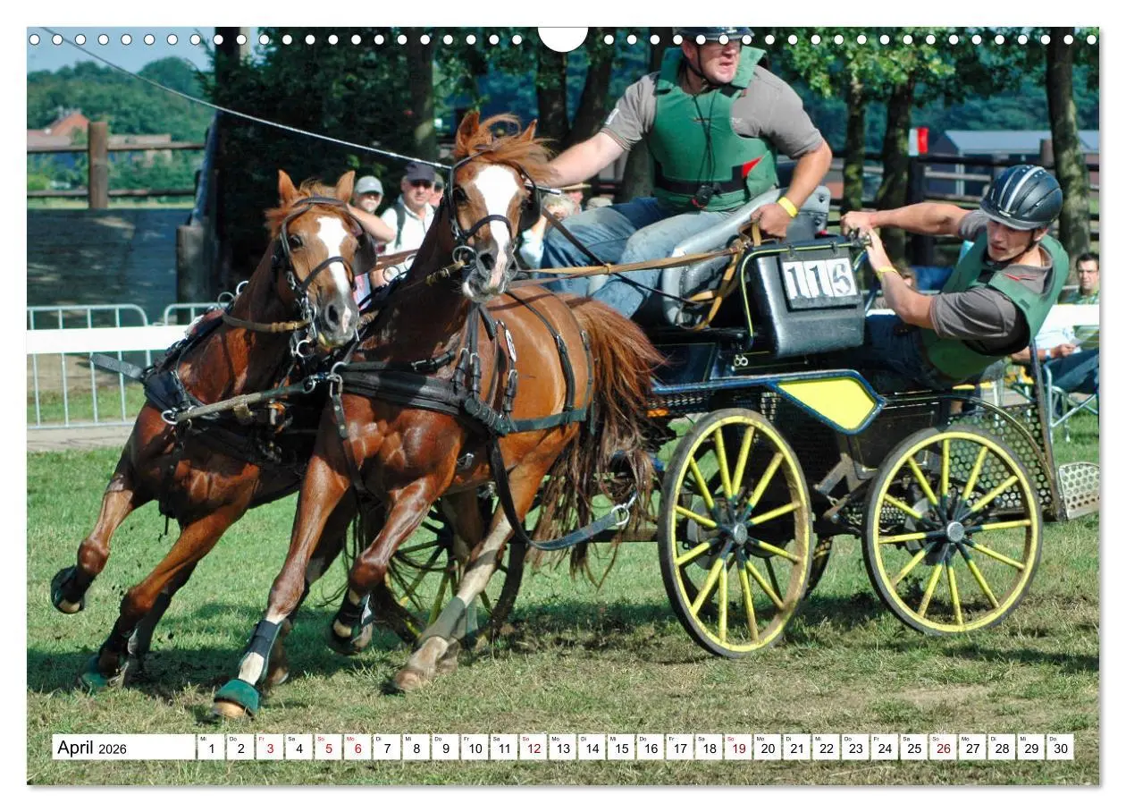 Bild: 9783457583968 | Faszination Fahrsport - Zweispänner im Galopp durch den Parcour...