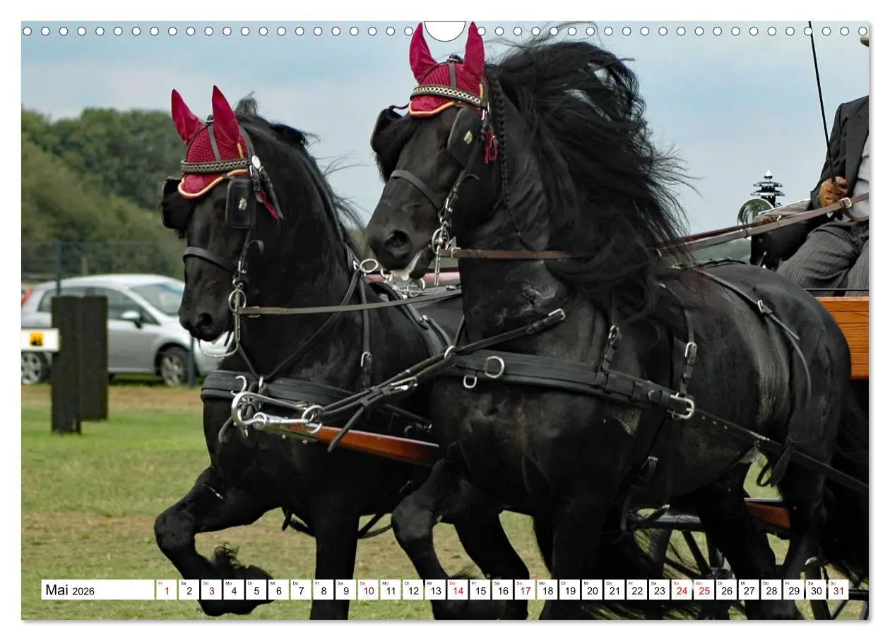 Bild: 9783457583968 | Faszination Fahrsport - Zweispänner im Galopp durch den Parcour...