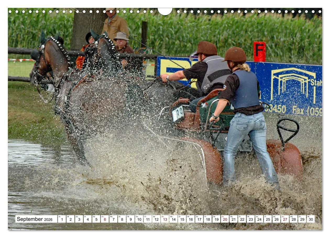 Bild: 9783457583968 | Faszination Fahrsport - Zweispänner im Galopp durch den Parcour...