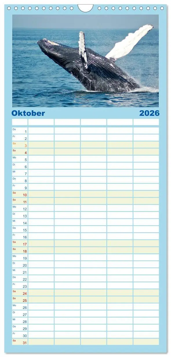 Bild: 9783516503968 | Familienplaner 2026 - Wale - Die Riesen der Meere. mit 5 Spalten...