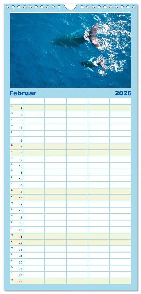 Bild: 9783516503968 | Familienplaner 2026 - Wale - Die Riesen der Meere. mit 5 Spalten...