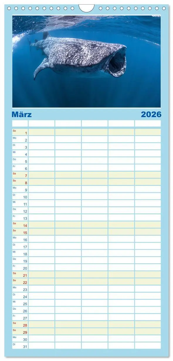 Bild: 9783516503968 | Familienplaner 2026 - Wale - Die Riesen der Meere. mit 5 Spalten...