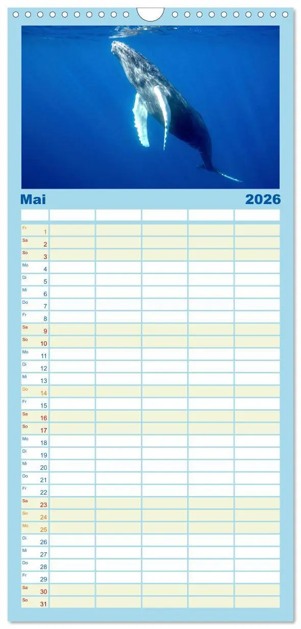 Bild: 9783516503968 | Familienplaner 2026 - Wale - Die Riesen der Meere. mit 5 Spalten...
