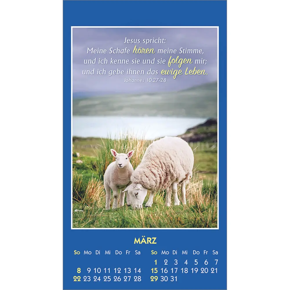 Bild: 9783754893968 | Gottes Wort - Licht für den Tag 2026 | Kalender | Spiralbindung | 2026