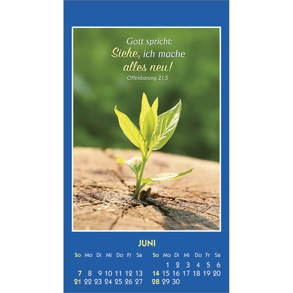 Bild: 9783754893968 | Gottes Wort - Licht für den Tag 2026 | Kalender | Spiralbindung | 2026