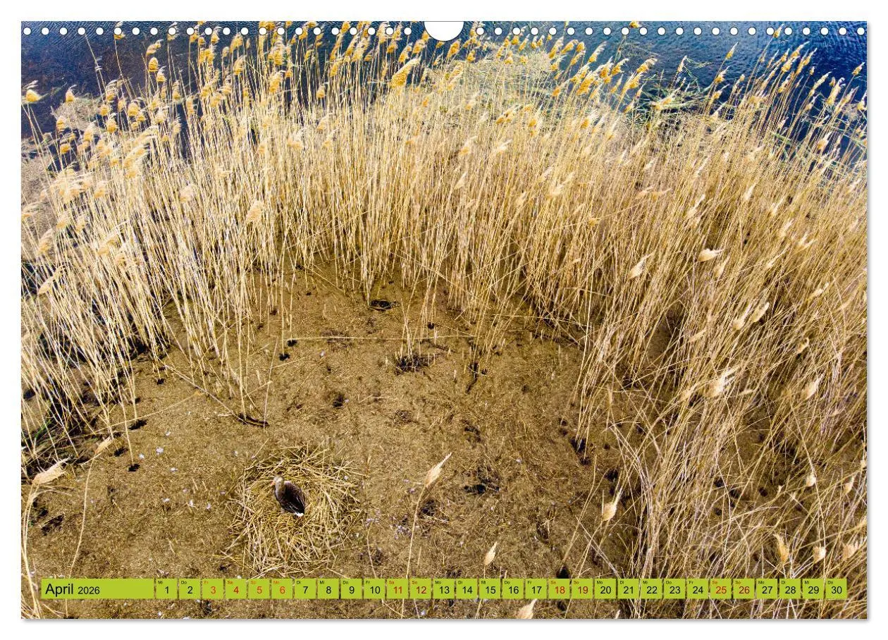 Bild: 9783457844168 | Schorfheide von oben (Wandkalender 2026 DIN A3 quer), CALVENDO...