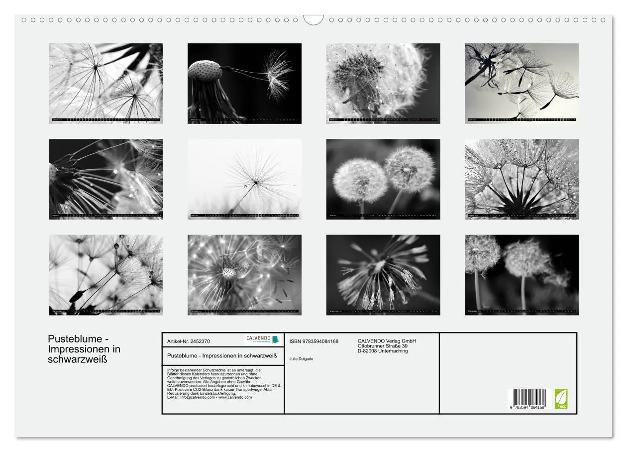 Bild: 9783594084168 | Pusteblume - Impressionen in schwarzweiß (Wandkalender 2027 DIN A2...