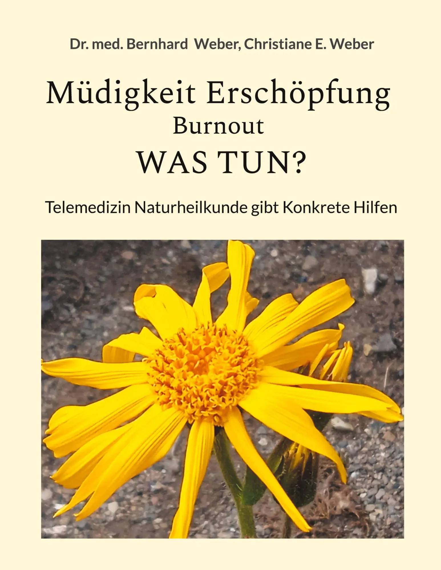 Cover: 9783819284168 | Müdigkeit Erschöpfung Burnout was tun? | Bernhard Weber (u. a.) | Buch