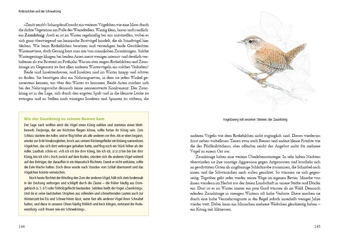 Bild: 9783895664168 | Vogelstimmen in Wald und Hecke | Uwe Westphal | Buch | 184 S. | 2022