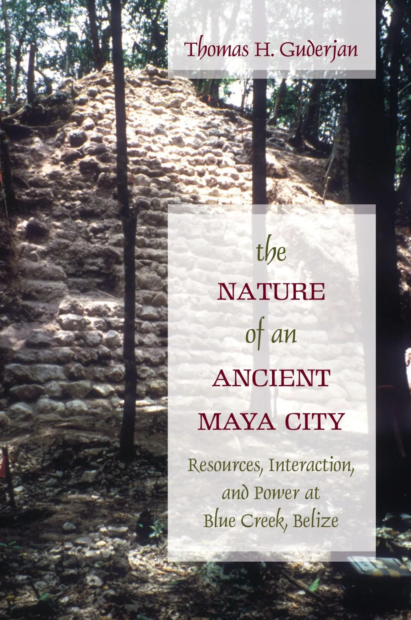 Cover: 9780817354268 | The Nature of an Ancient Maya City | Thomas H Guderjan | Taschenbuch