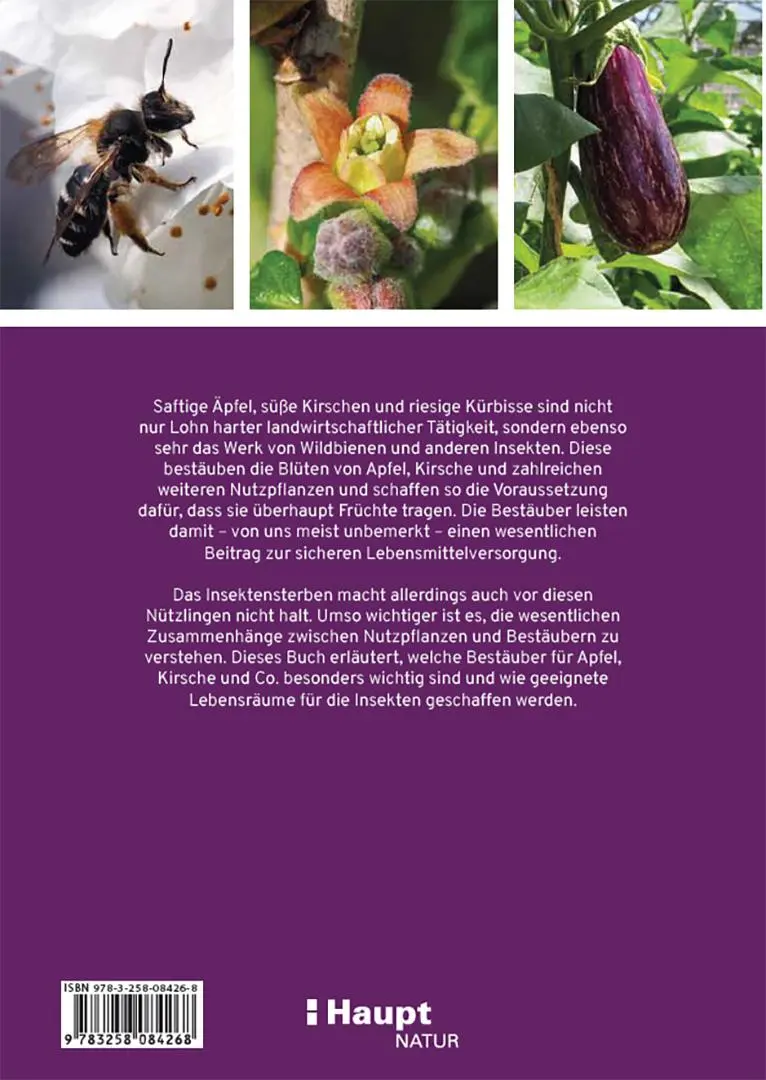 Rückseite: 9783258084268 | Praxishandbuch Nutzpflanzenbestäubung | Alexandra-Maria Klein (u. a.)