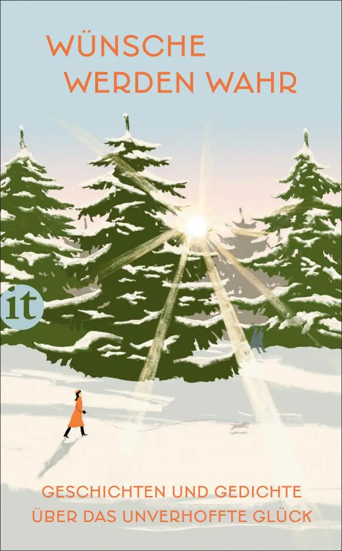 Cover: 9783458684268 | Wünsche werden wahr | Clara Paul | Taschenbuch | 180 S. | Deutsch