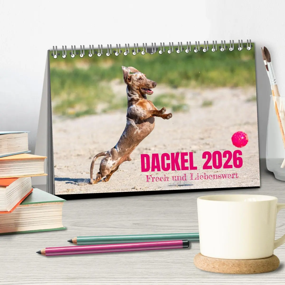 Bild: 9783516164268 | DACKEL 2026 Frech und Liebenwert (Tischkalender 2026 DIN A5 quer),...