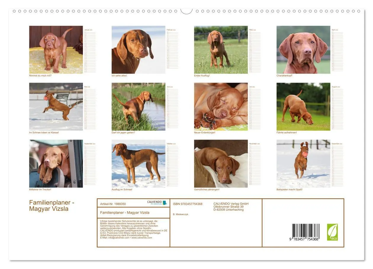 Bild: 9783457754368 | Familienplaner - Magyar Vizsla (hochwertiger Premium Wandkalender...