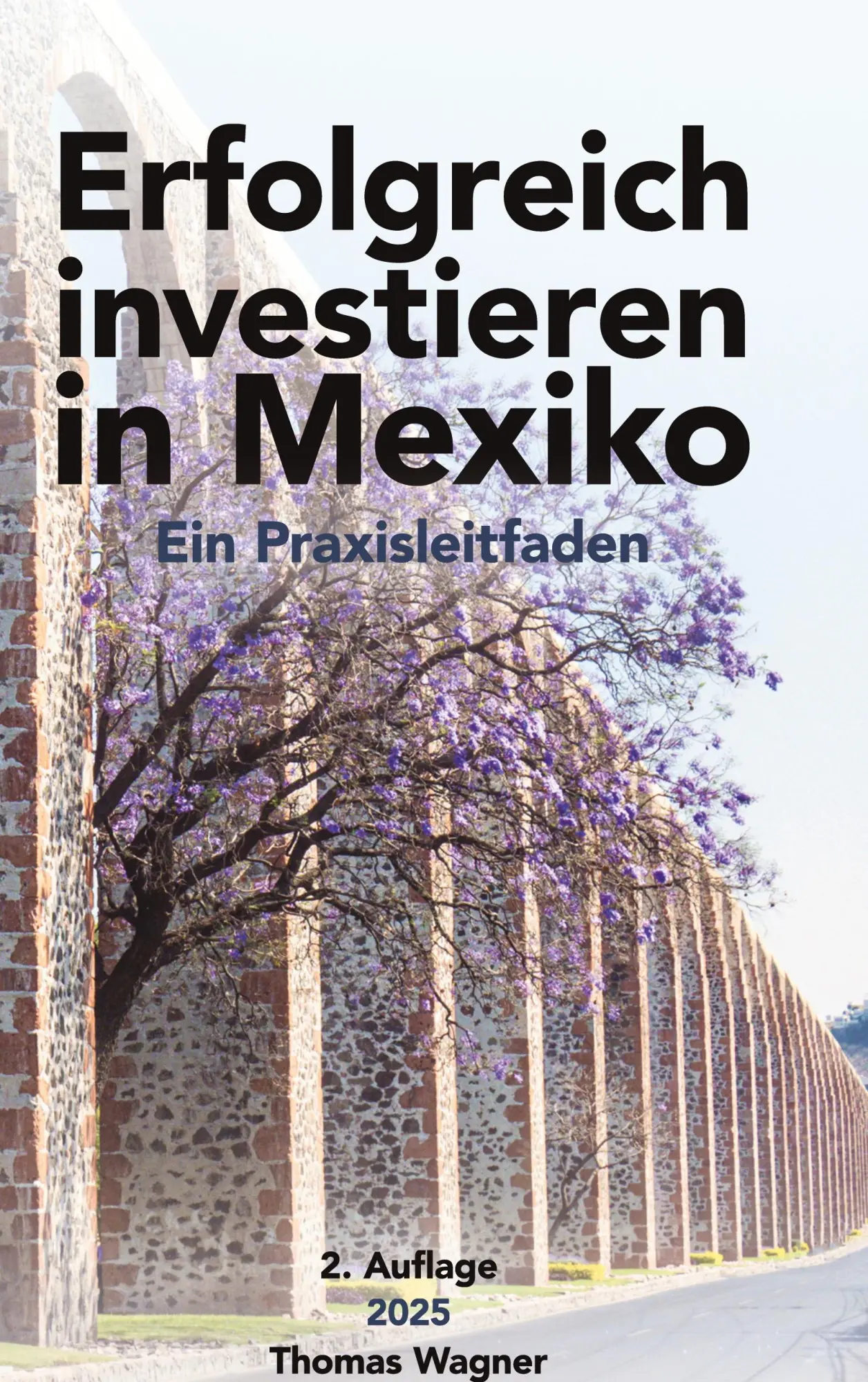 Cover: 9783819264368 | Erfolgreich investieren in Mexiko | Thomas Wagner (u. a.) | Buch