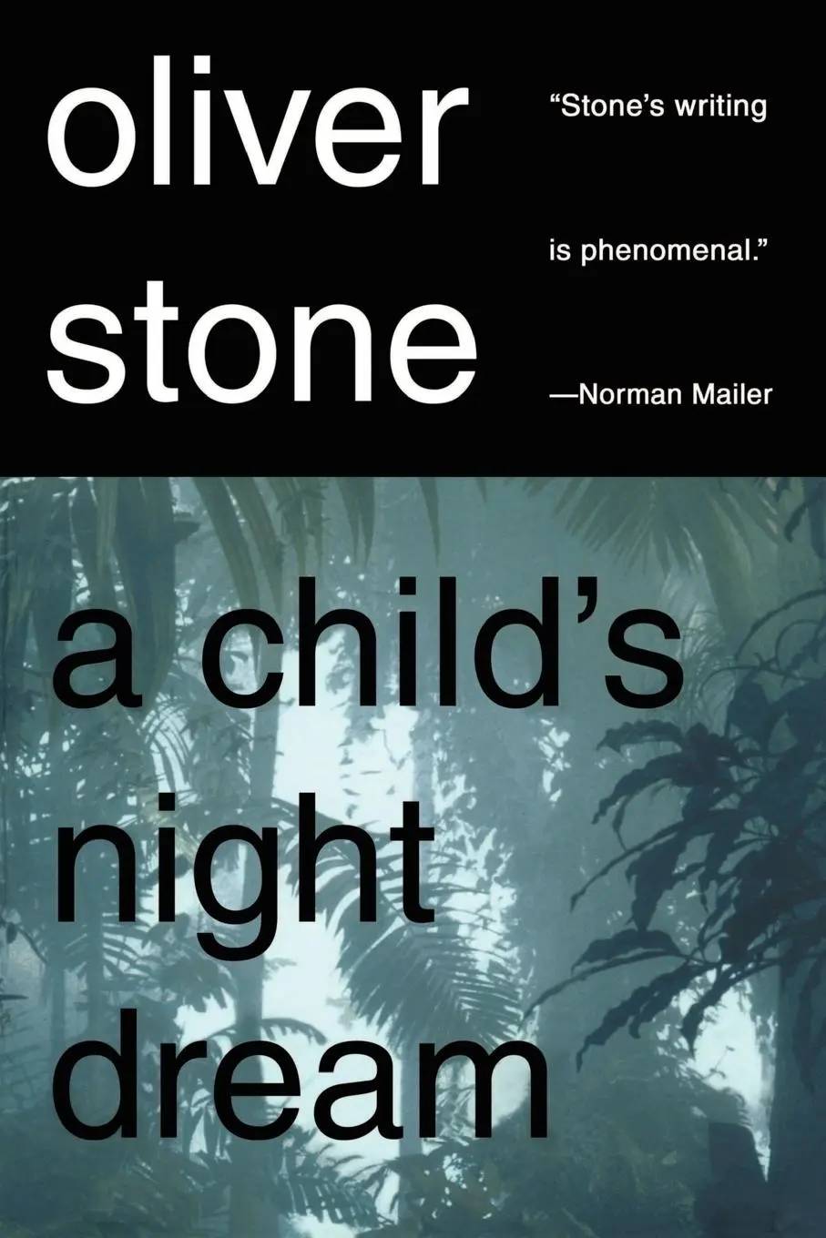 Cover: 9780312194468 | A Child's Night Dream | Oliver Stone | Taschenbuch | Englisch | 2002