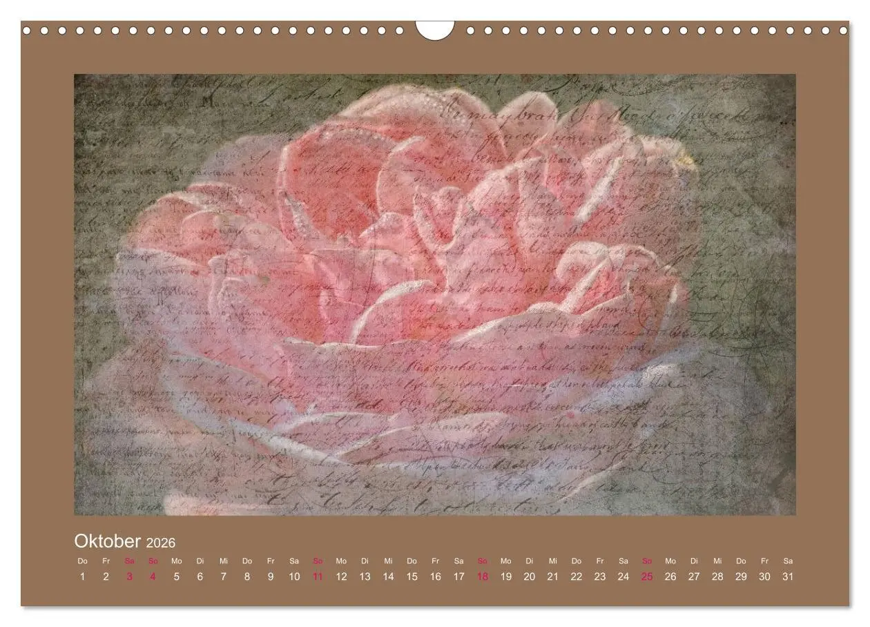 Bild: 9783516144468 | Romantische Rosen (Wandkalender 2026 DIN A3 quer), CALVENDO...