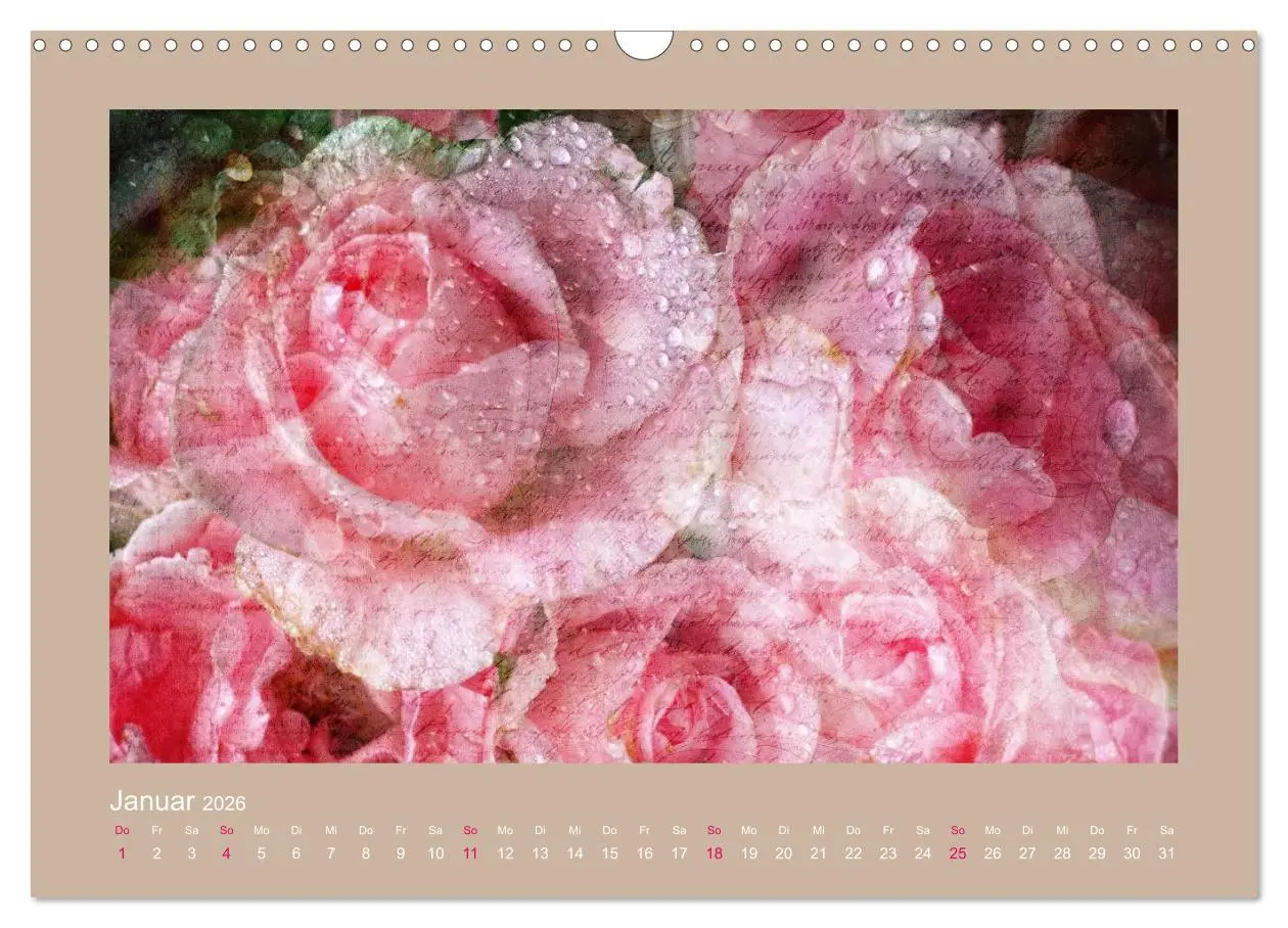 Bild: 9783516144468 | Romantische Rosen (Wandkalender 2026 DIN A3 quer), CALVENDO...
