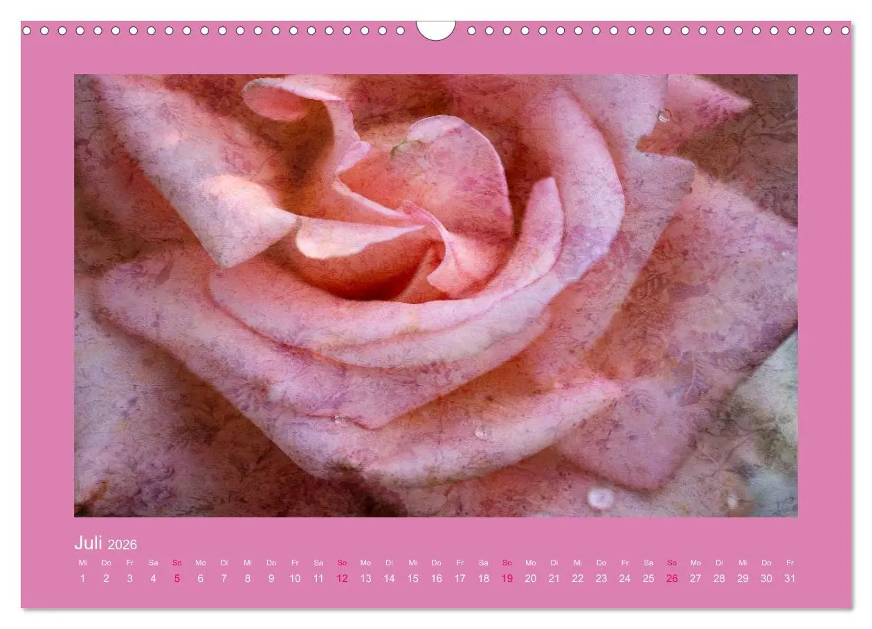 Bild: 9783516144468 | Romantische Rosen (Wandkalender 2026 DIN A3 quer), CALVENDO...