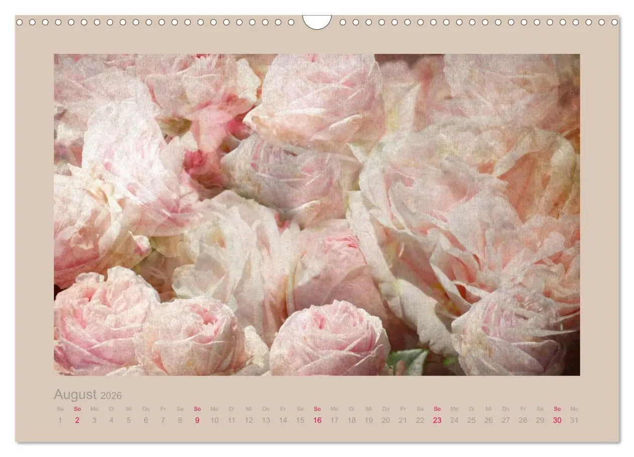 Bild: 9783516144468 | Romantische Rosen (Wandkalender 2026 DIN A3 quer), CALVENDO...