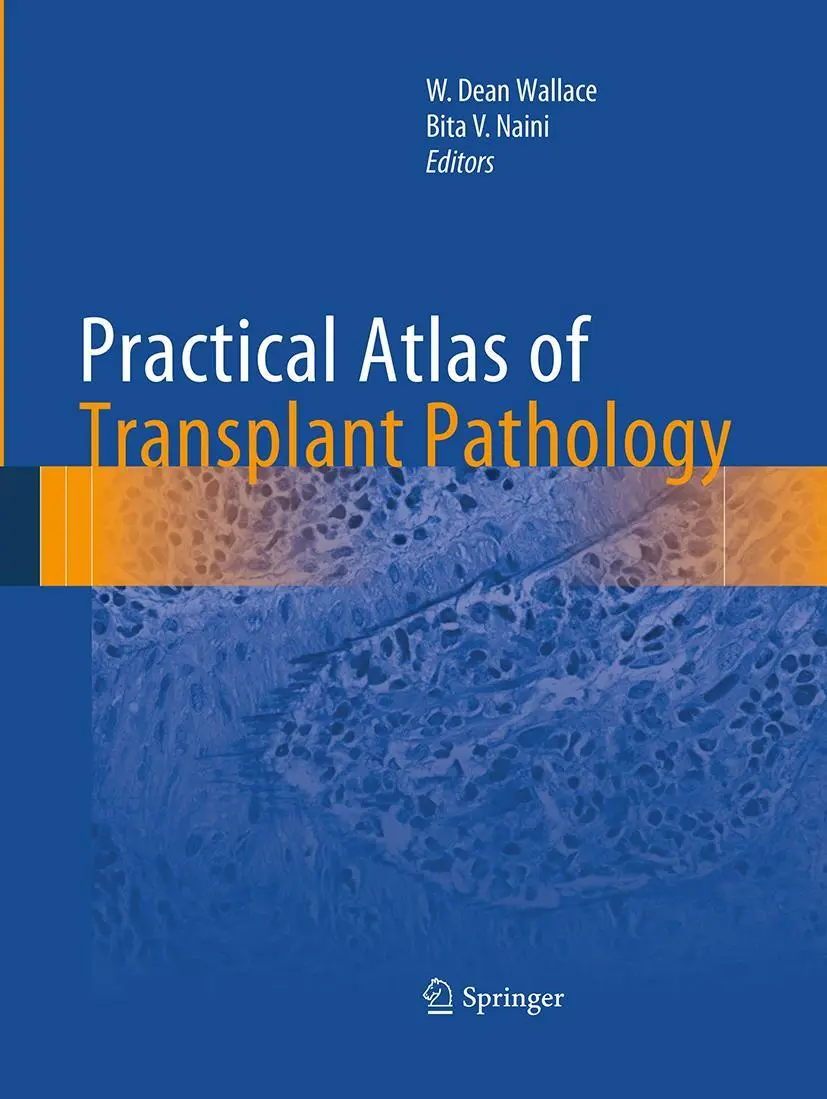 Cover: 9783319364568 | Practical Atlas of Transplant Pathology | Bita V. Naini (u. a.) | Buch