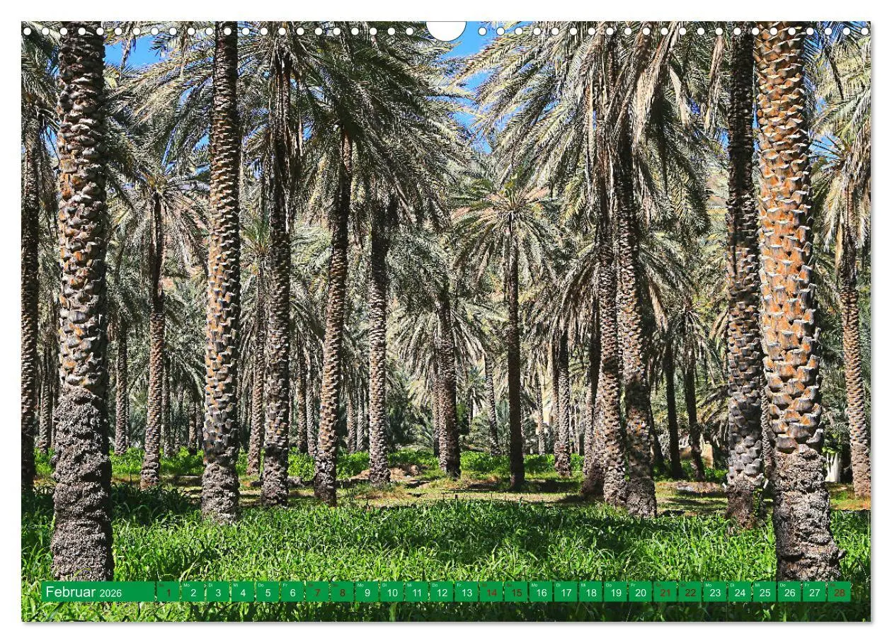 Bild: 9783457594568 | Unterwegs im Weihrauchland Oman (Wandkalender 2026 DIN A3 quer),...