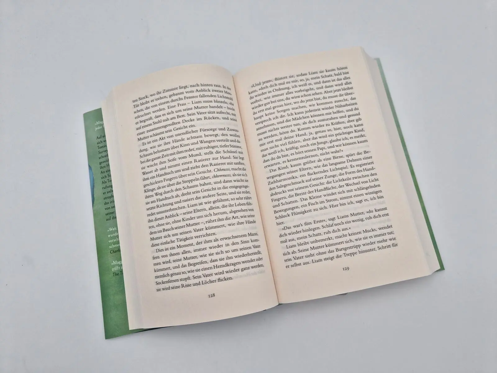 Bild: 9783492074568 | Land | Maggie O'Farrell | Buch | 576 S. | Deutsch | 2026